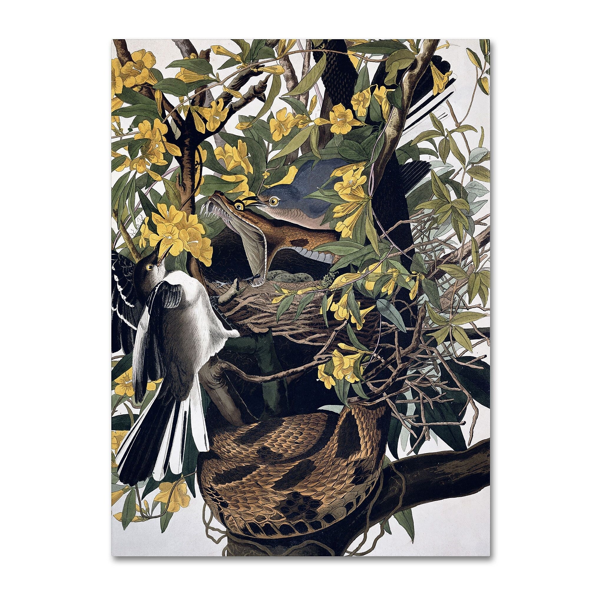 Trademark Fine Art 'Mocking Birds and Snake' 35" x 47" Canvas Art