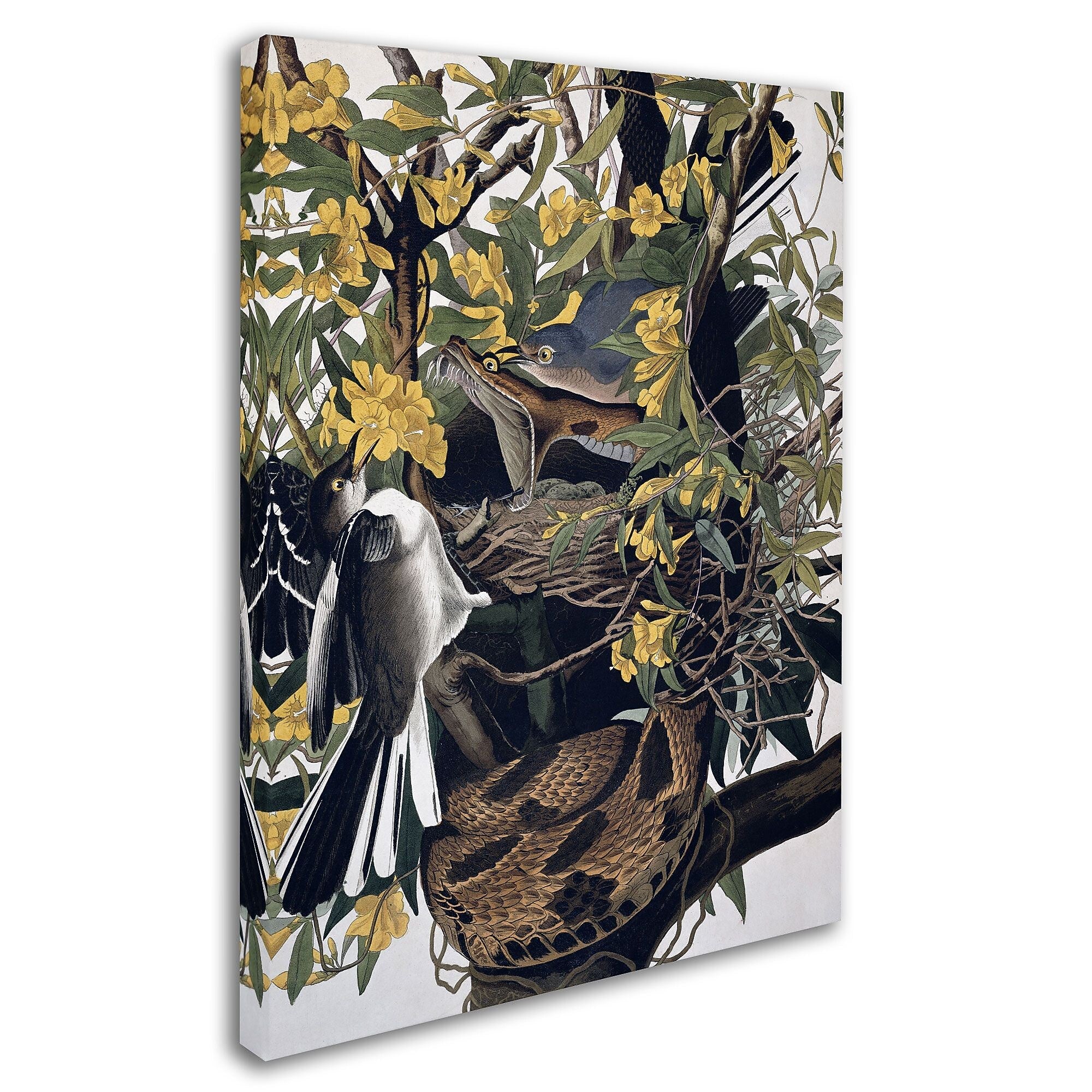Trademark Fine Art 'Mocking Birds and Snake' 14" x 19" Canvas Art