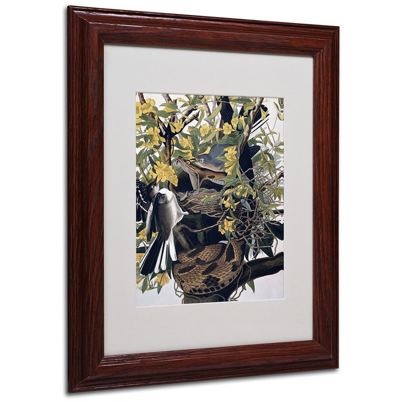 Trademark Fine Art 'Mocking Birds and Snake' 11" x 14" Wood Frame Art