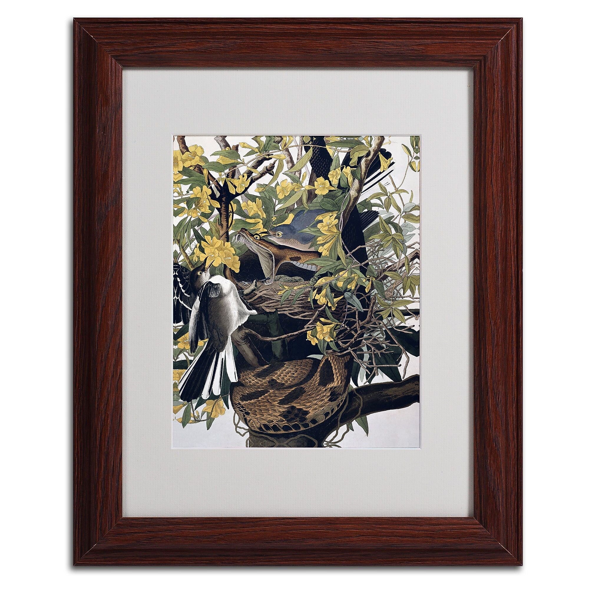 Trademark Fine Art 'Mocking Birds and Snake' 11" x 14" Wood Frame Art
