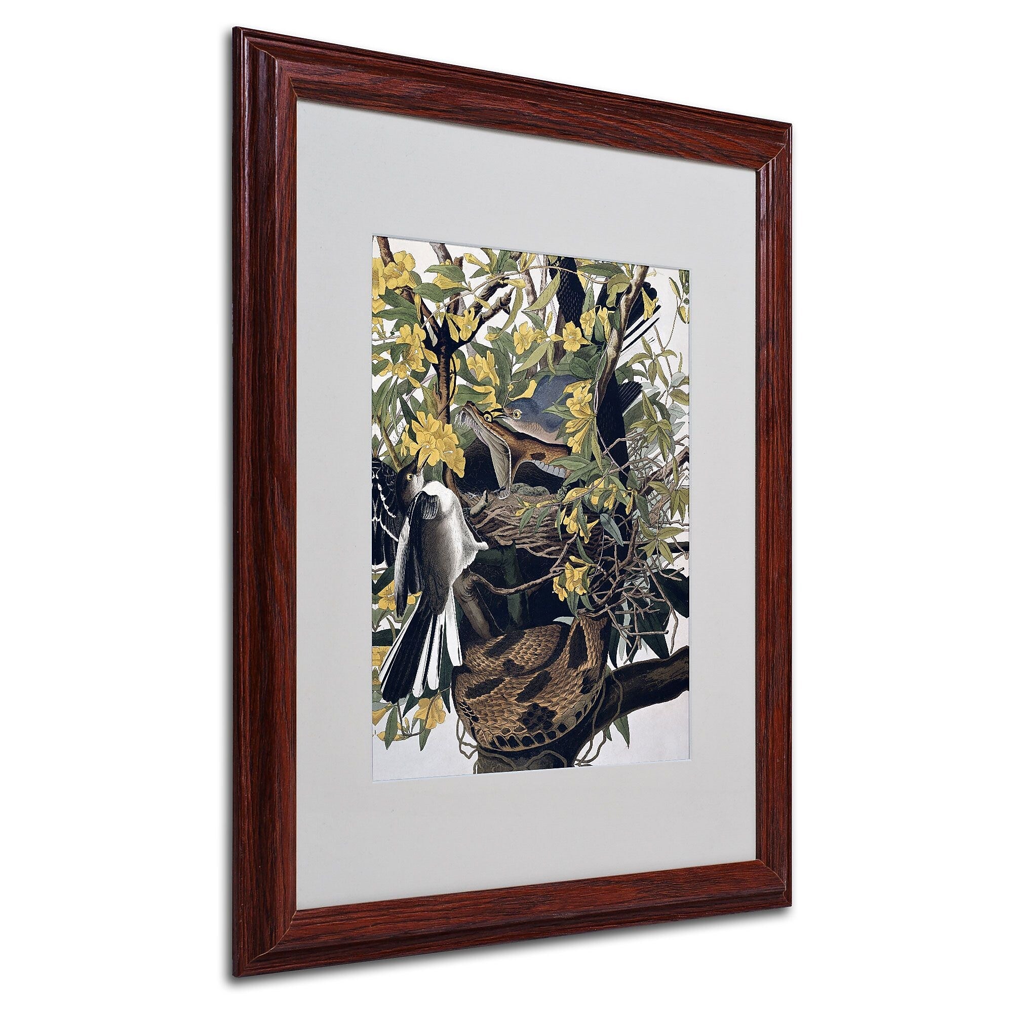 Trademark Fine Art 'Mocking Birds and Snake' 16" x 20" Wood Frame Art