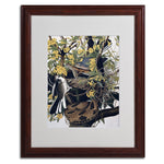 Trademark Fine Art 'Mocking Birds and Snake' 16" x 20" Wood Frame Art
