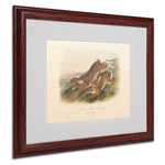 Trademark Fine Art 'Northern Hare' 16" x 20" Wood Frame Art
