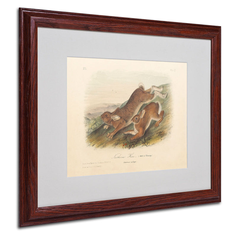 Trademark Fine Art 'Northern Hare' 16" x 20" Wood Frame Art