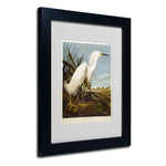 Trademark Fine Art 'Snowy Heron' 11" x 14" Black Frame Art