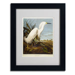 Trademark Fine Art 'Snowy Heron' 11" x 14" Black Frame Art