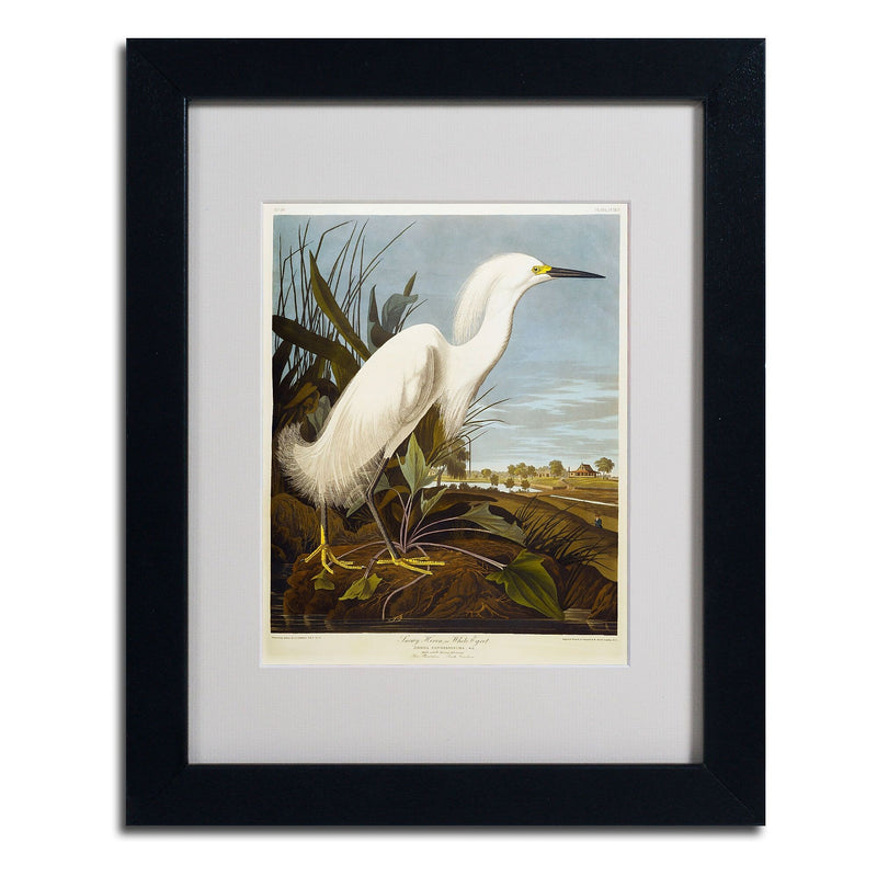 Trademark Fine Art 'Snowy Heron' 11" x 14" Black Frame Art