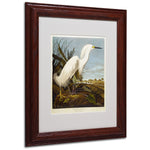 Trademark Fine Art 'Snowy Heron' 11" x 14" Wood Frame Art