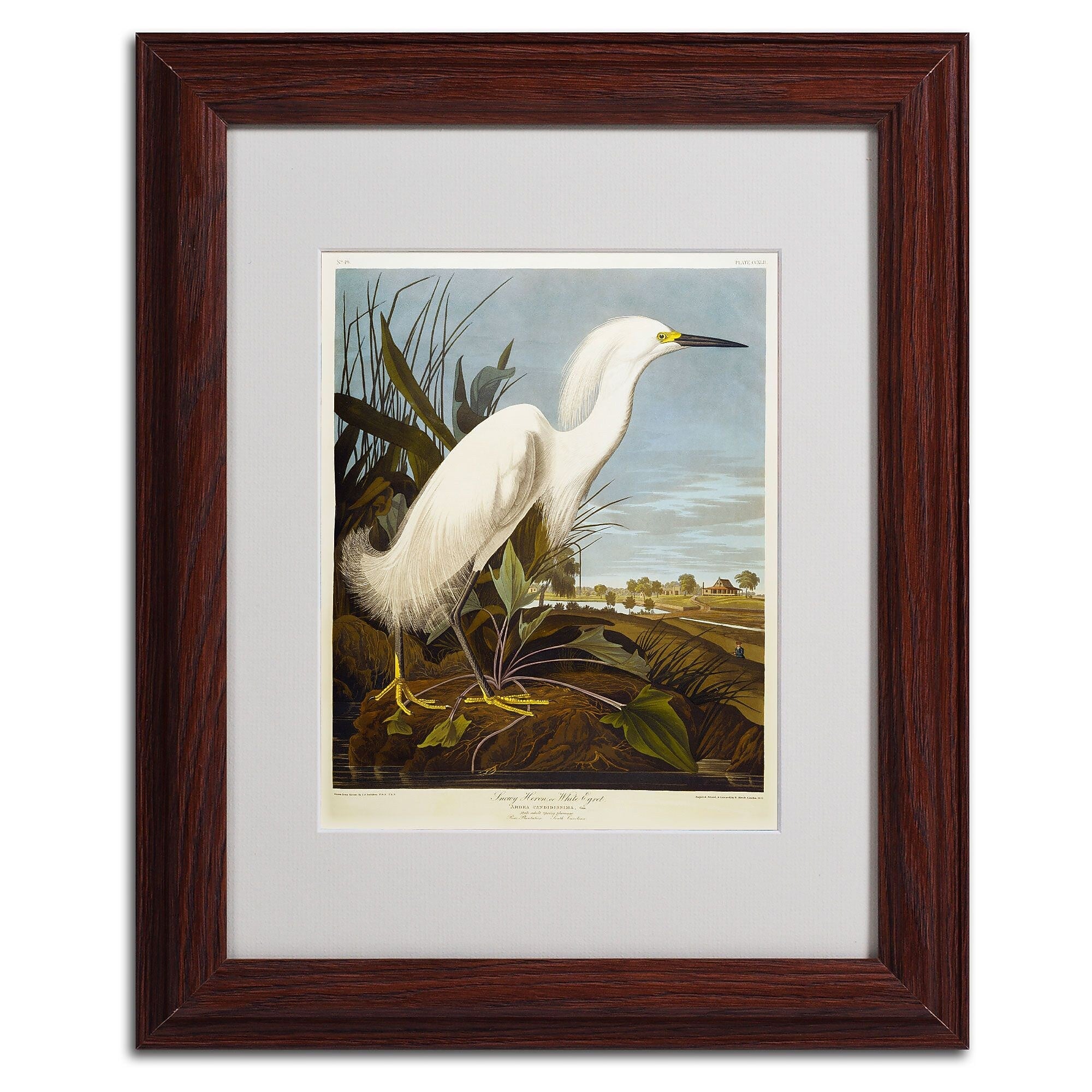 Trademark Fine Art 'Snowy Heron' 11" x 14" Wood Frame Art