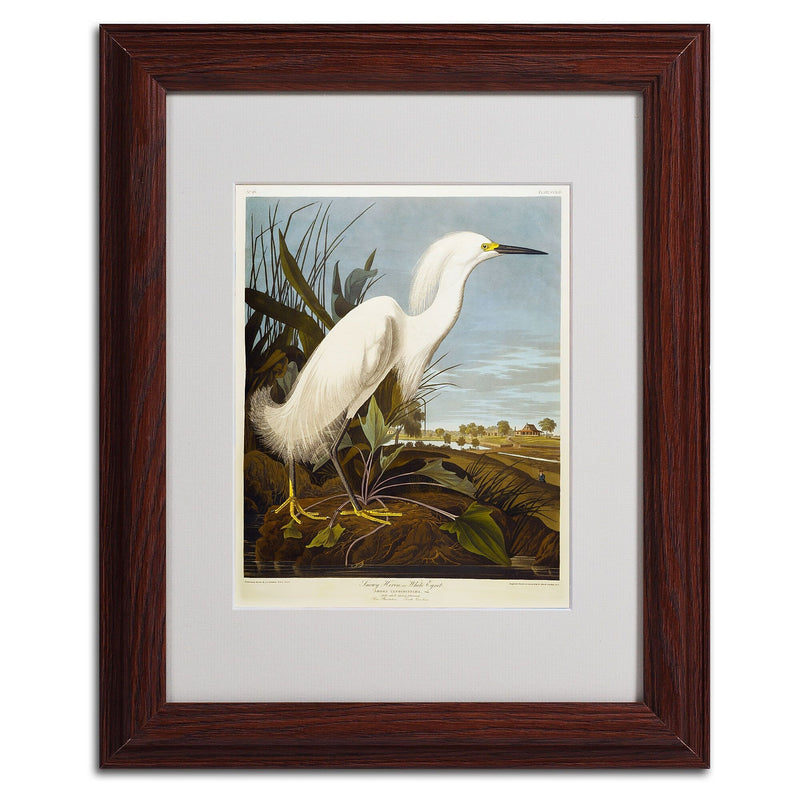 Trademark Fine Art 'Snowy Heron' 11" x 14" Wood Frame Art