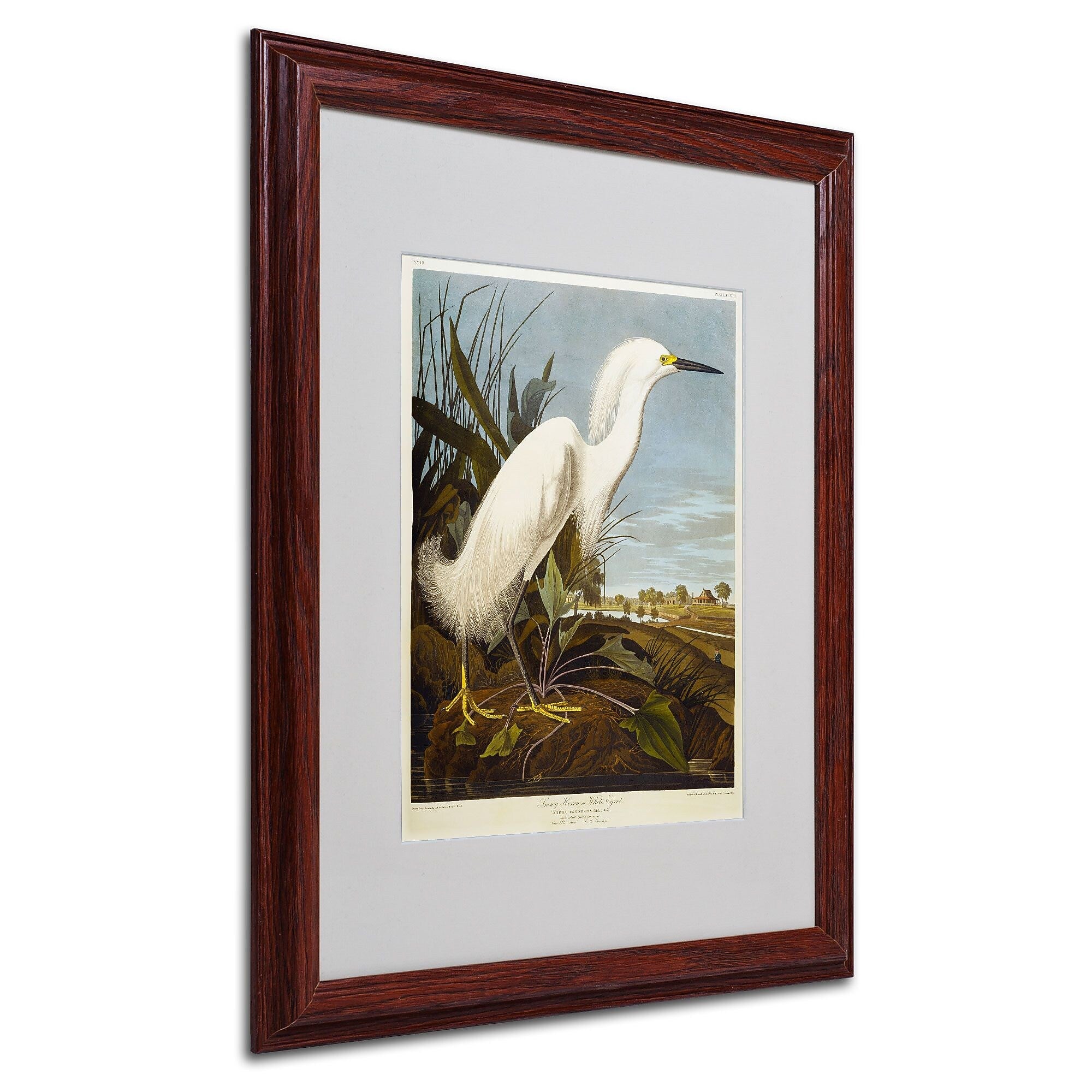 Trademark Fine Art 'Snowy Heron' 16" x 20" Wood Frame Art