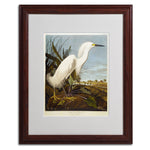 Trademark Fine Art 'Snowy Heron' 16" x 20" Wood Frame Art