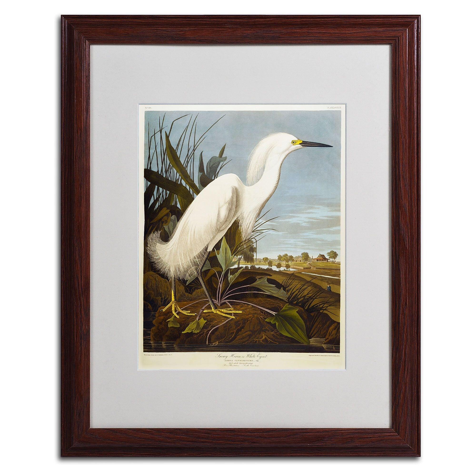 Trademark Fine Art 'Snowy Heron' 16" x 20" Wood Frame Art