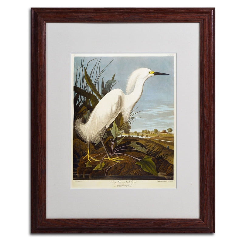 Trademark Fine Art 'Snowy Heron' 16" x 20" Wood Frame Art