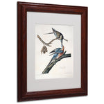 Trademark Fine Art 'Passenger Pigeon' 11" x 14" Wood Frame Art