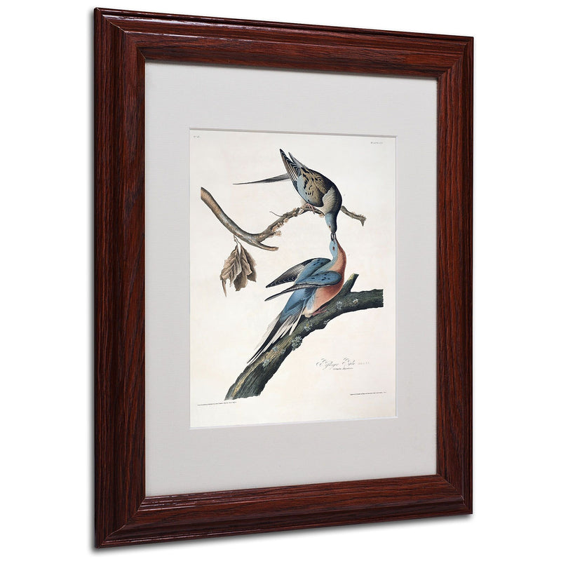 Trademark Fine Art 'Passenger Pigeon' 11" x 14" Wood Frame Art
