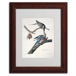 Trademark Fine Art 'Passenger Pigeon' 11" x 14" Wood Frame Art