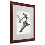 Trademark Fine Art 'Passenger Pigeon' 16" x 20" Wood Frame Art