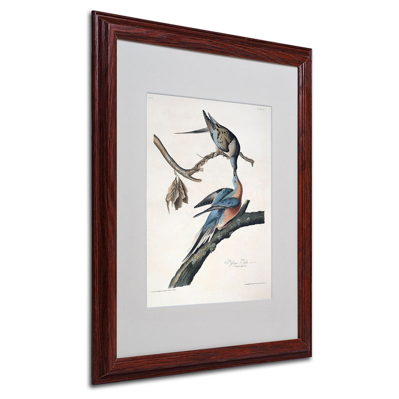 Trademark Fine Art 'Passenger Pigeon' 16" x 20" Wood Frame Art
