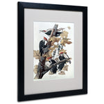 Trademark Fine Art 'Pileated Woodpeckers' 16" x 20" Black Frame Art