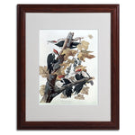 Trademark Fine Art 'Pileated Woodpeckers' 16" x 20" Wood Frame Art