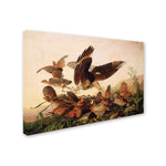 Trademark Fine Art 'Red-Shouldered Hawk' 30" x 47" Canvas Art