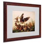 Trademark Fine Art 'Red-Shouldered Hawk' 16" x 20" Wood Frame Art