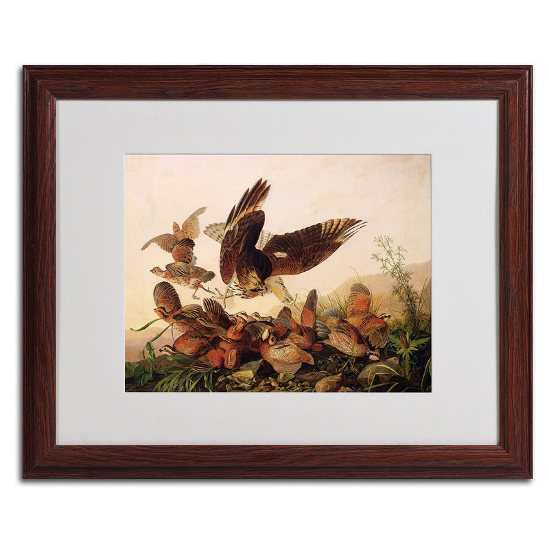 Trademark Fine Art 'Red-Shouldered Hawk' 16" x 20" Wood Frame Art