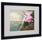 Trademark Fine Art 'Roseate Spoonbill' 16" x 20" Black Frame Art
