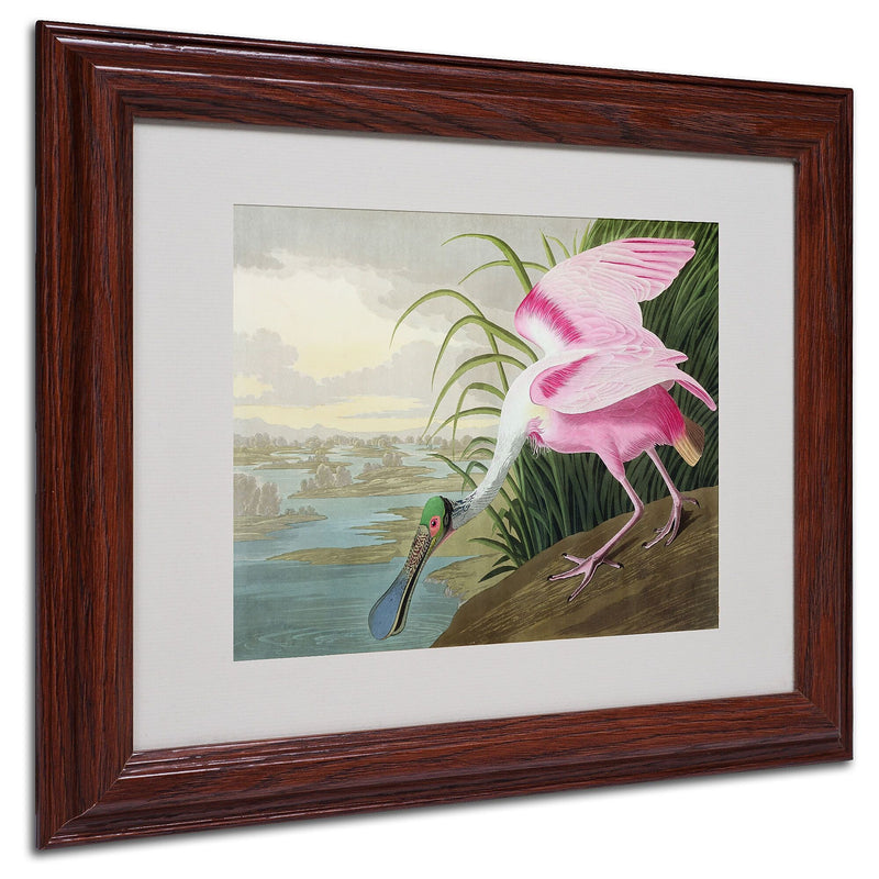Trademark Fine Art 'Roseate Spoonbill' 11" x 14" Wood Frame Art
