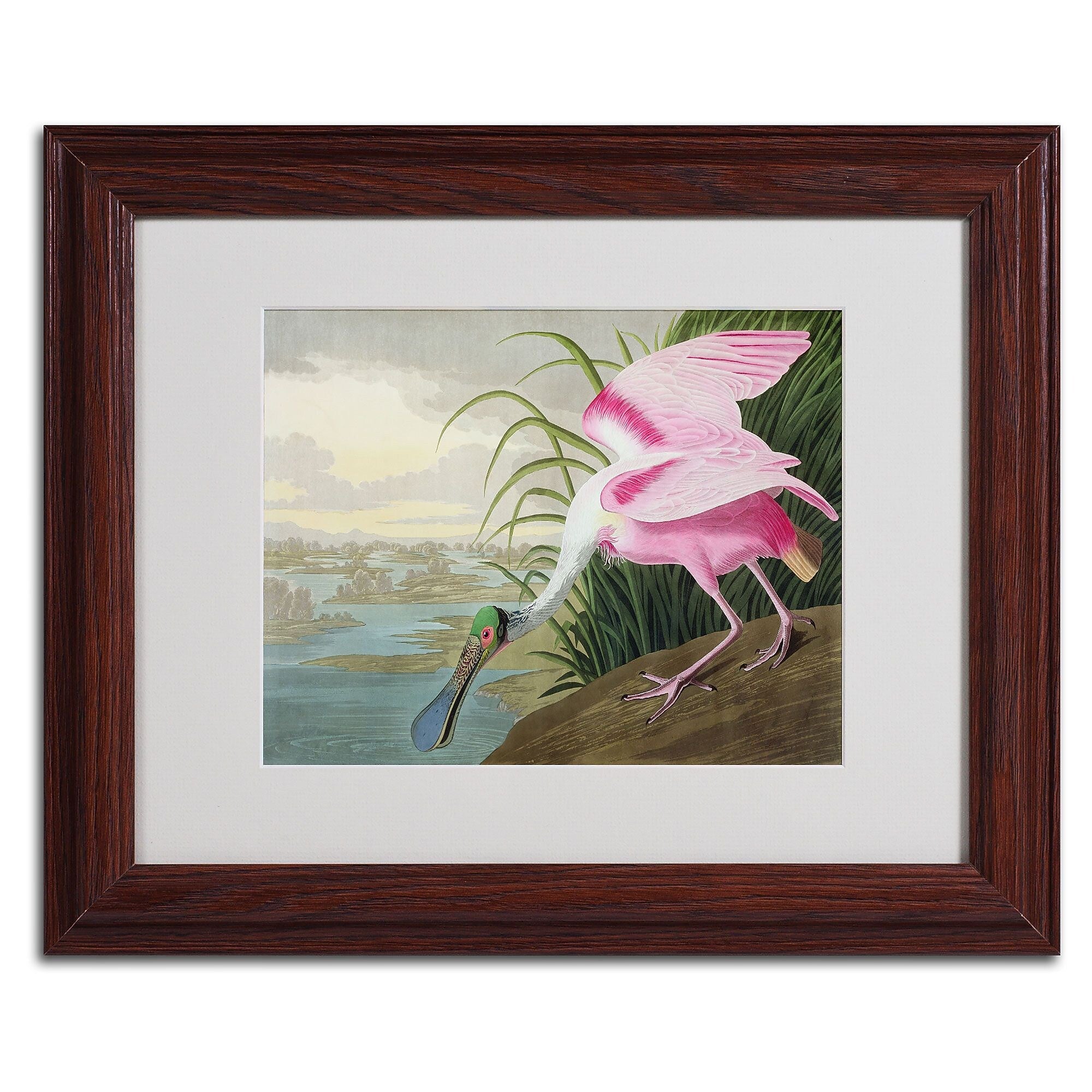 Trademark Fine Art 'Roseate Spoonbill' 11" x 14" Wood Frame Art