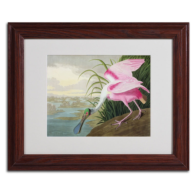 Trademark Fine Art 'Roseate Spoonbill' 11" x 14" Wood Frame Art