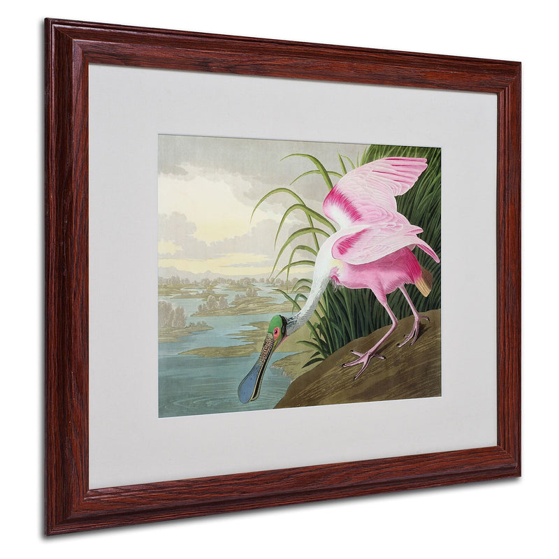Trademark Fine Art 'Roseate Spoonbill' 16" x 20" Wood Frame Art