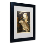 Trademark Fine Art 'Snowy Owl' 11" x 14" Black Frame Art