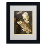 Trademark Fine Art 'Snowy Owl' 11" x 14" Black Frame Art