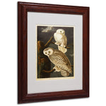 Trademark Fine Art 'Snowy Owl' 11" x 14" Wood Frame Art