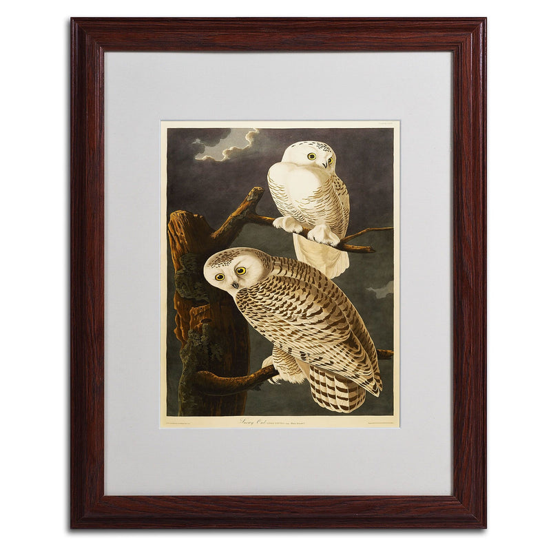 Trademark Fine Art 'Snowy Owl' 16" x 20" Wood Frame Art