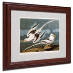 Trademark Fine Art 'Tropic Bird' 11" x 14" Wood Frame Art