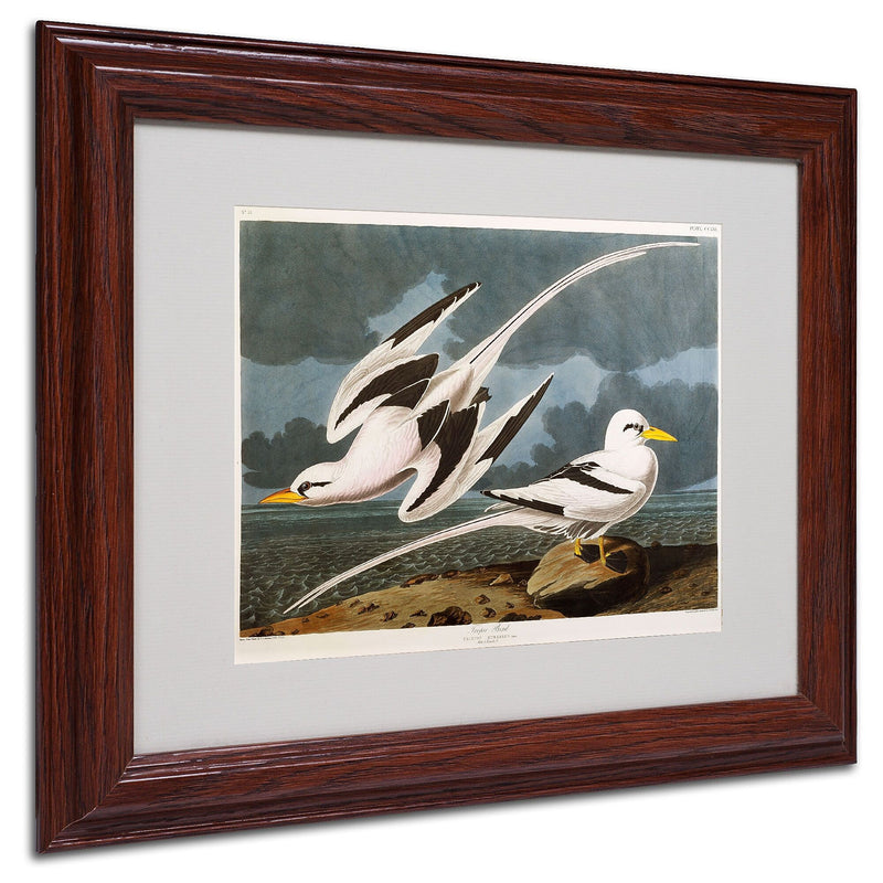 Trademark Fine Art 'Tropic Bird' 11" x 14" Wood Frame Art