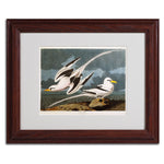 Trademark Fine Art 'Tropic Bird' 11" x 14" Wood Frame Art