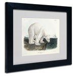 Trademark Fine Art 'Ursus Maritimus Polar Bear' 11" x 14" Black Frame Art