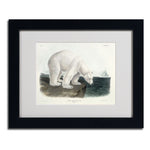 Trademark Fine Art 'Ursus Maritimus Polar Bear' 11" x 14" Black Frame Art