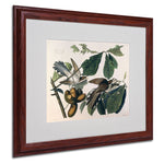 Trademark Fine Art 'Yellow-Billed Cuckoo' 16" x 20" Wood Frame Art