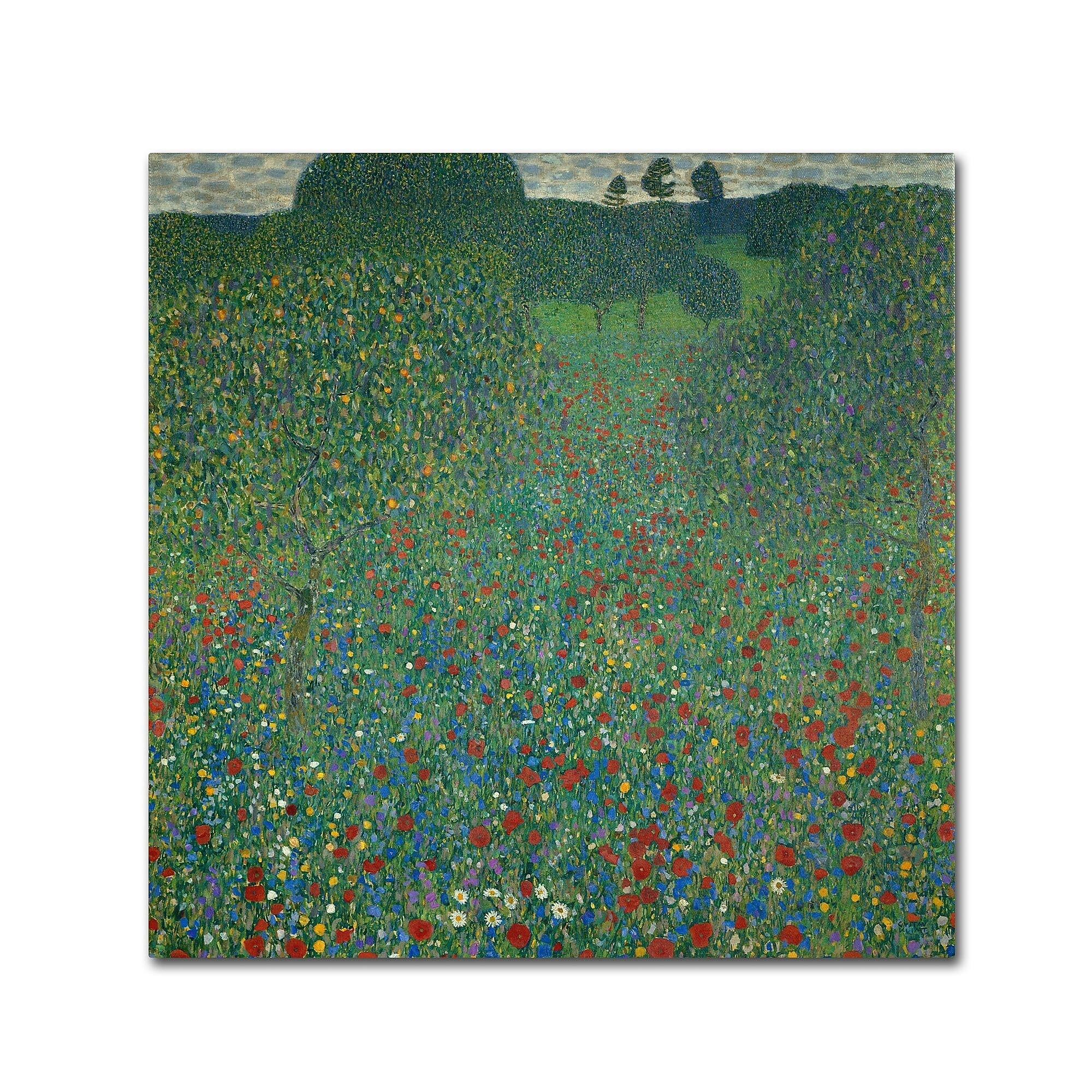 Trademark Fine Art 'Field of Poppies 1907' 24" x 24" Canvas Art