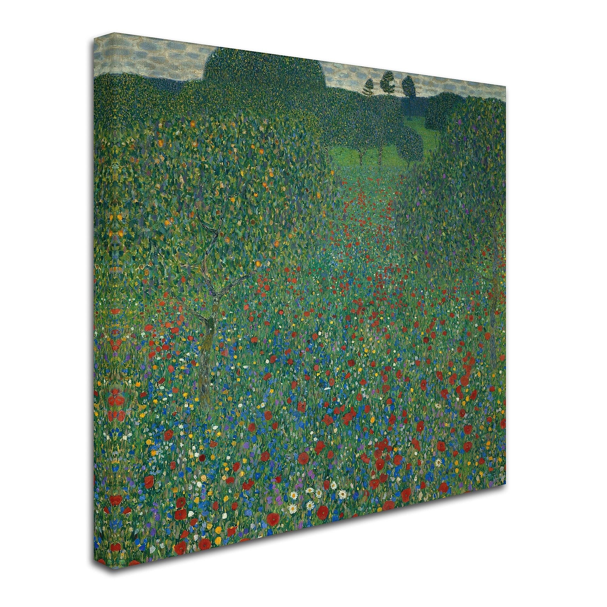 Trademark Fine Art 'Field of Poppies 1907' 35" x 35" Canvas Art