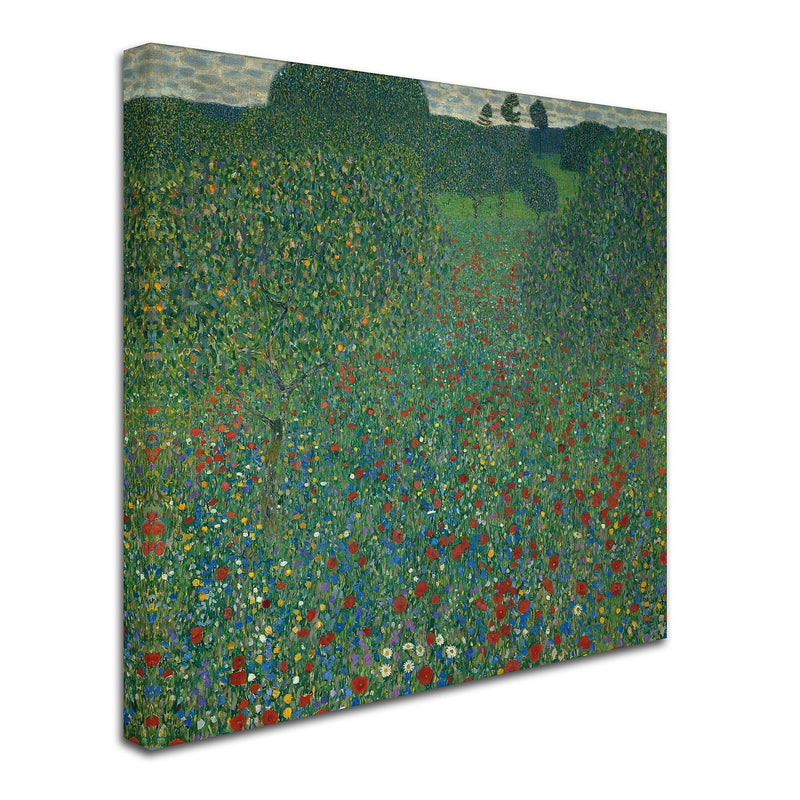 Trademark Fine Art 'Field of Poppies 1907' 35" x 35" Canvas Art
