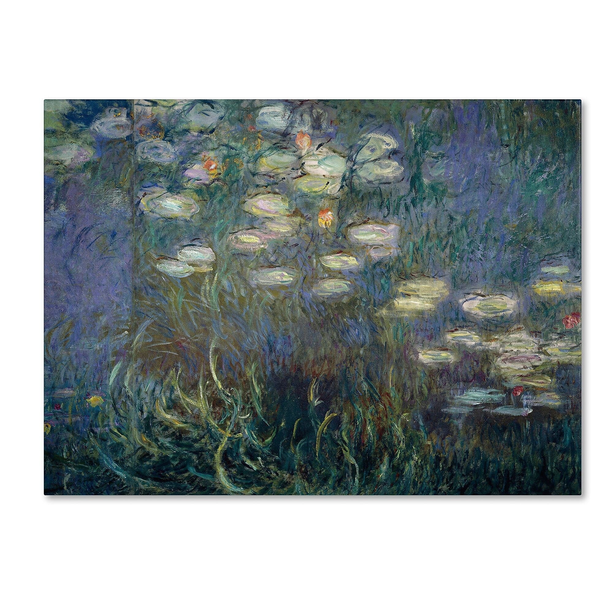 Trademark Fine Art 'Water Lilies 1840-1926' 14" x 19" Canvas Art