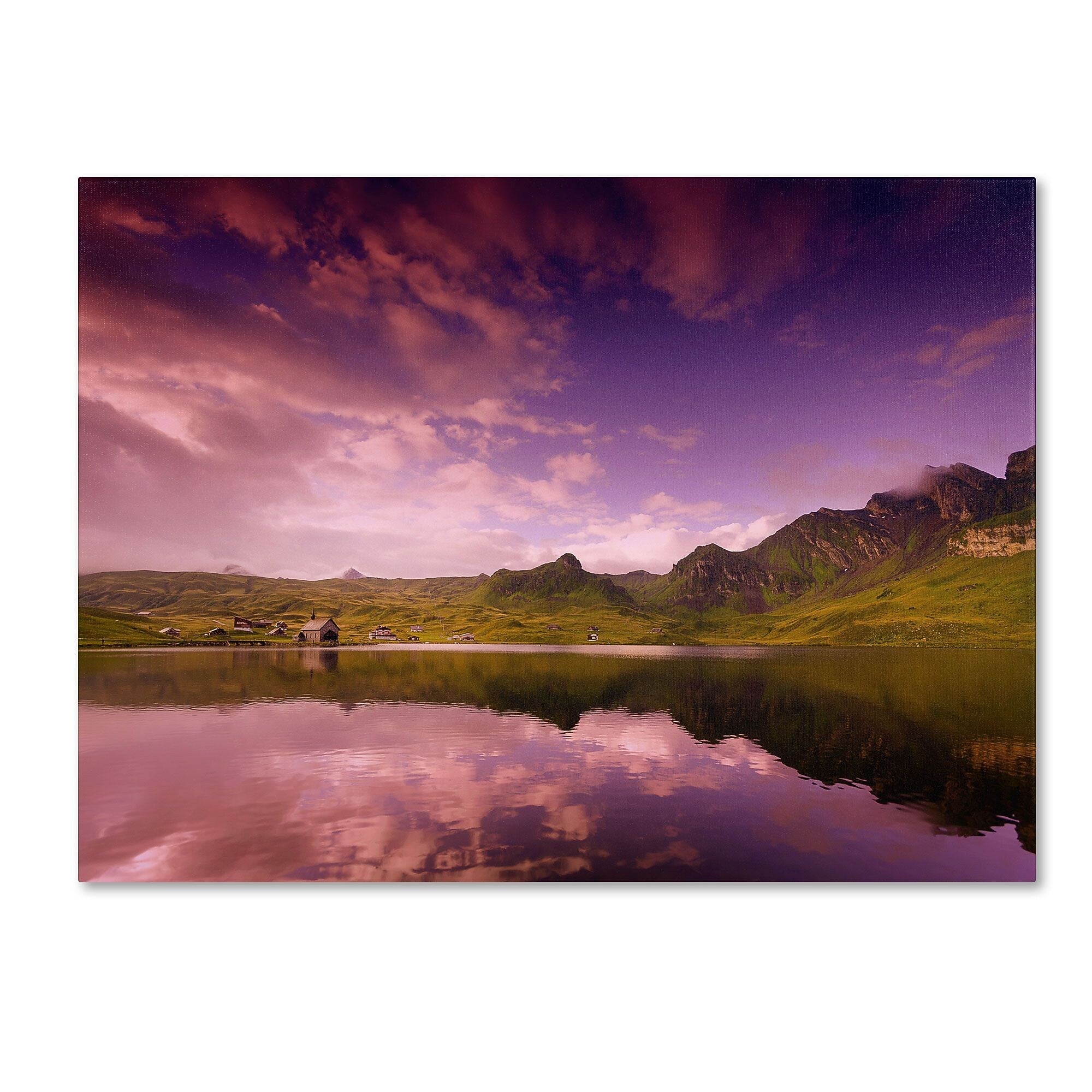 Trademark Fine Art 'Beyond the Purple Sky' 30" x 47" Canvas Art