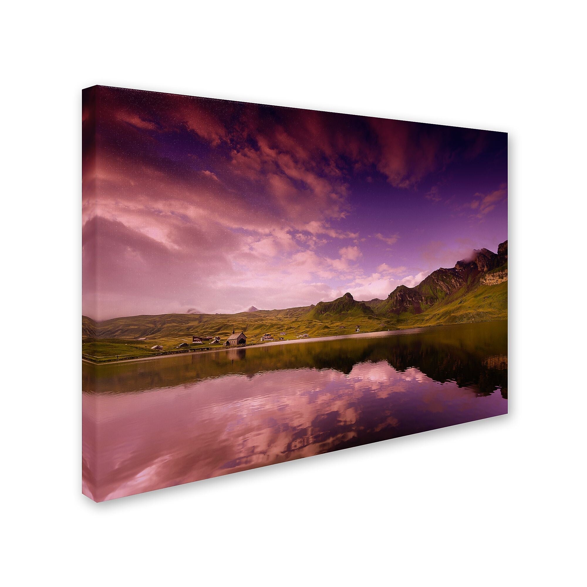 Trademark Fine Art 'Beyond the Purple Sky' 30" x 47" Canvas Art