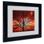 Trademark Fine Art 'Big Bad Moon' 11" x 14" Black Frame Art